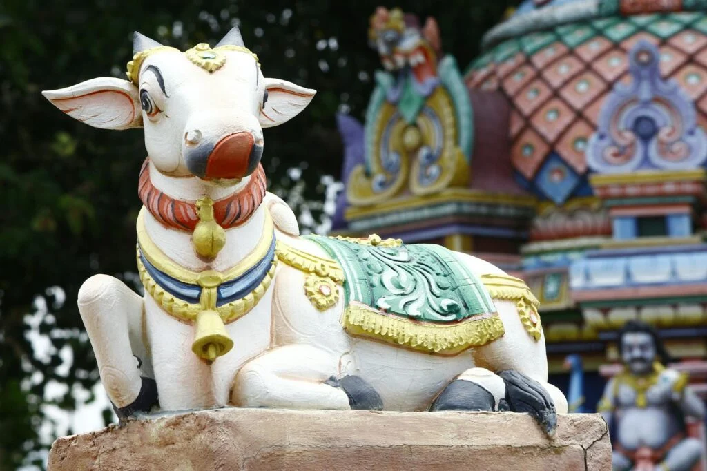 nandi